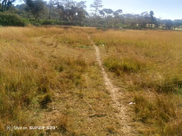 Prime 2000 m² Land for Sale in Glen Lorne, Harare North!